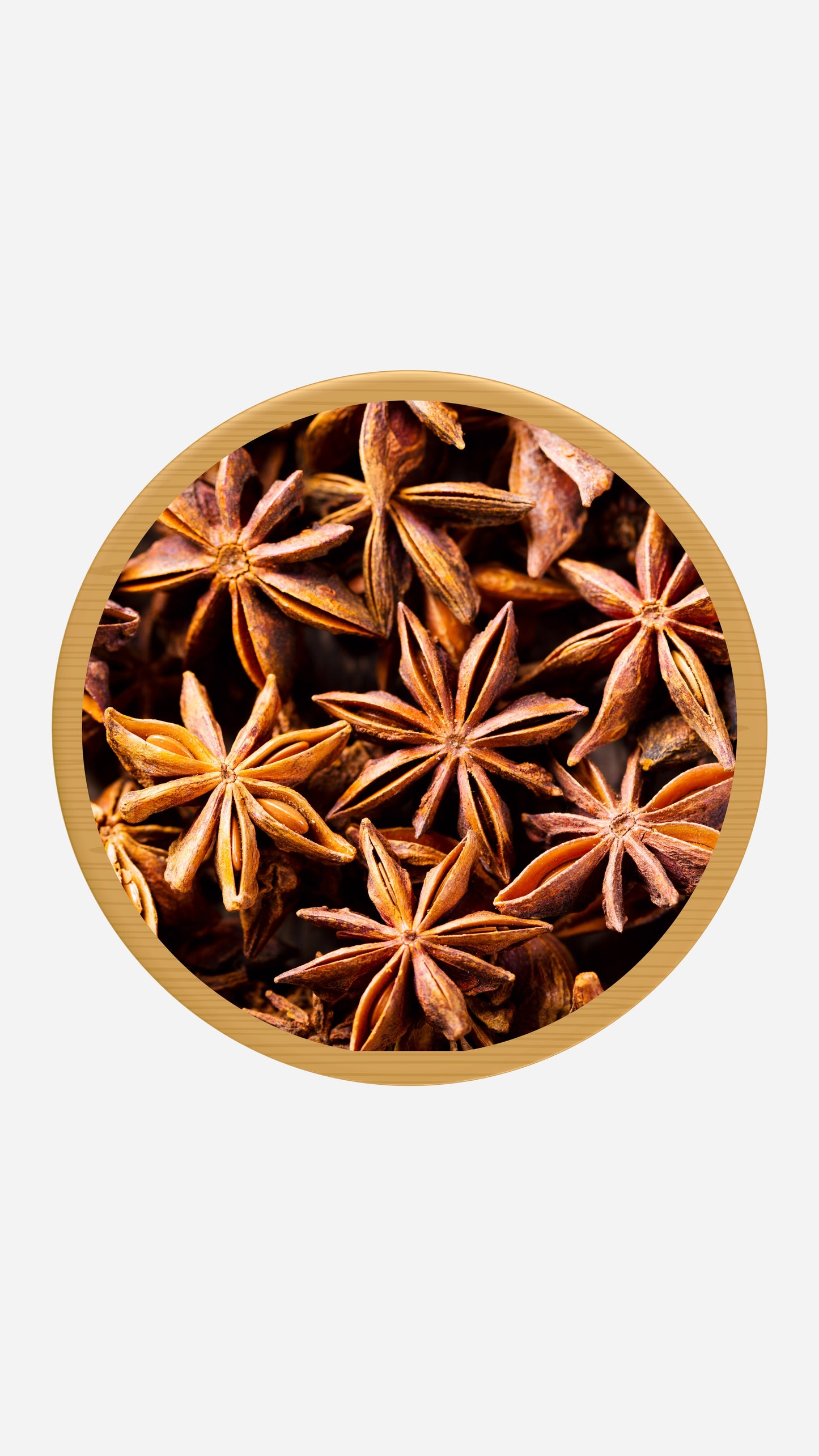 Echter Sternanis
