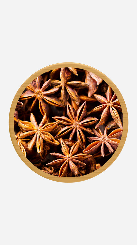 Echter Sternanis