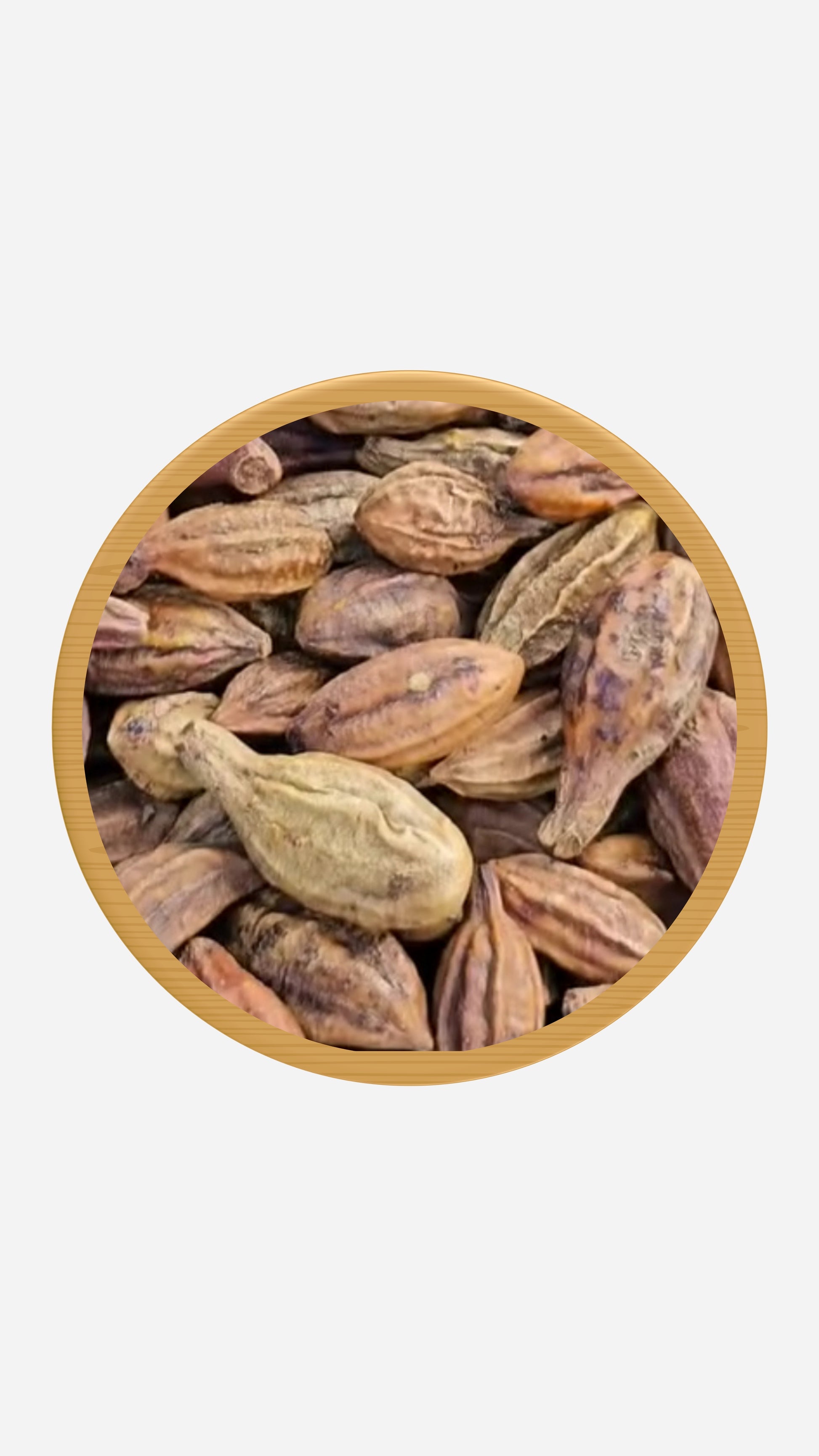 Terminalia Chebula 