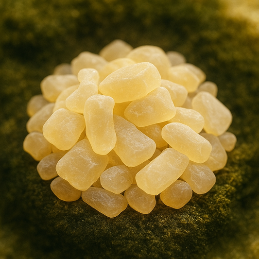 Astragalus Gummifer - Grad 1 Premium Royal rein - Hochwertiges Naturprodukt 50g